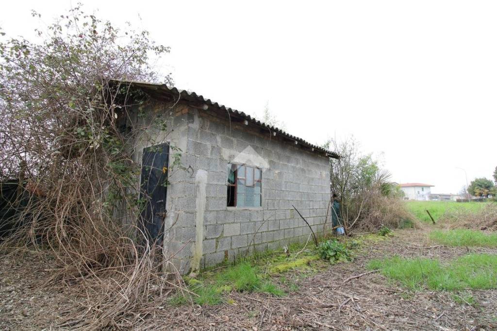 immagine annuncio 10 di 12