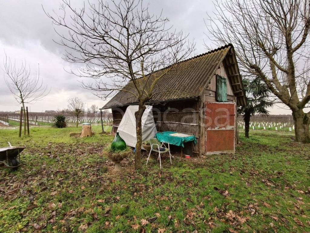 immagine annuncio 4 di 15