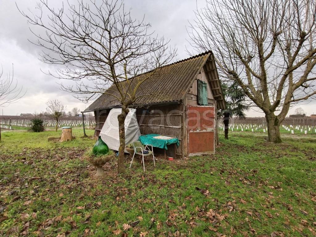 immagine annuncio 5 di 15