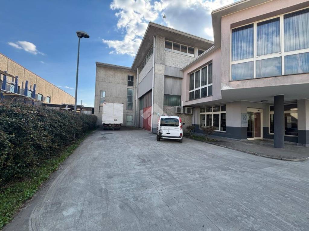 immagine annuncio 2 di 15