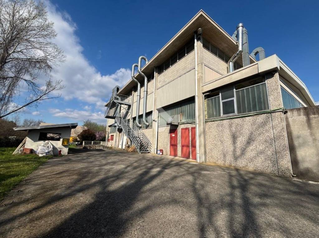 immagine annuncio 5 di 15