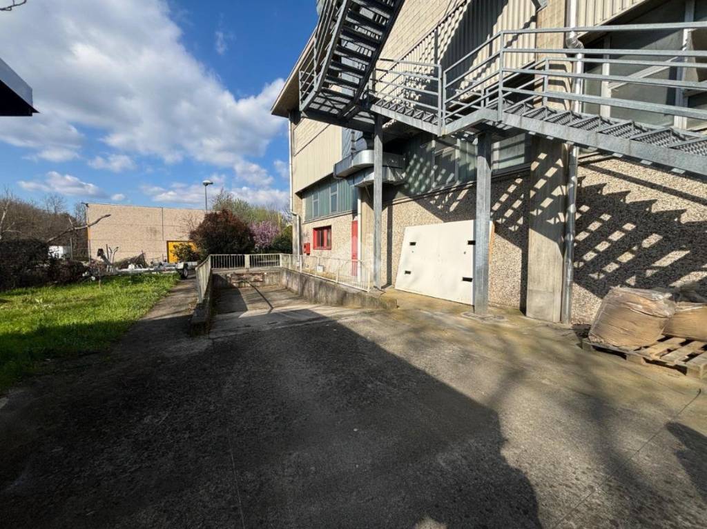 immagine annuncio 11 di 15