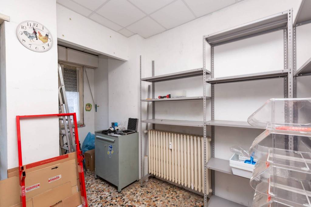 immagine annuncio 11 di 14