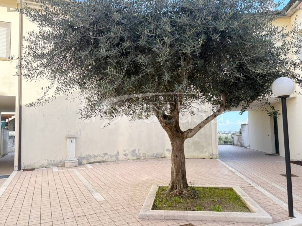 immagine annuncio 4 di 14