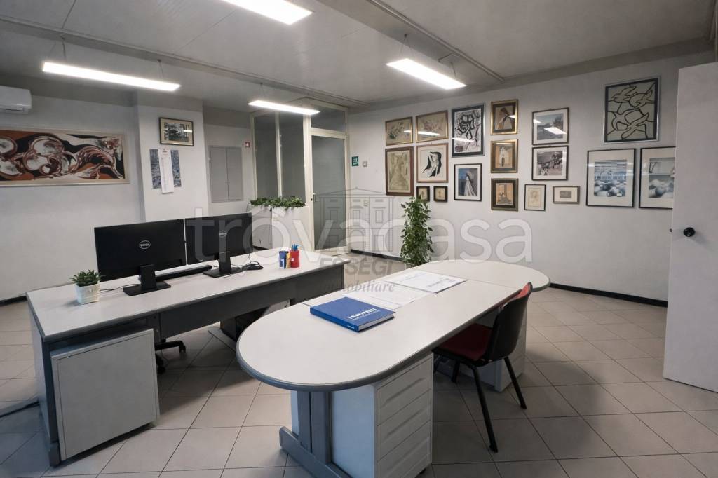 immagine annuncio 7 di 11
