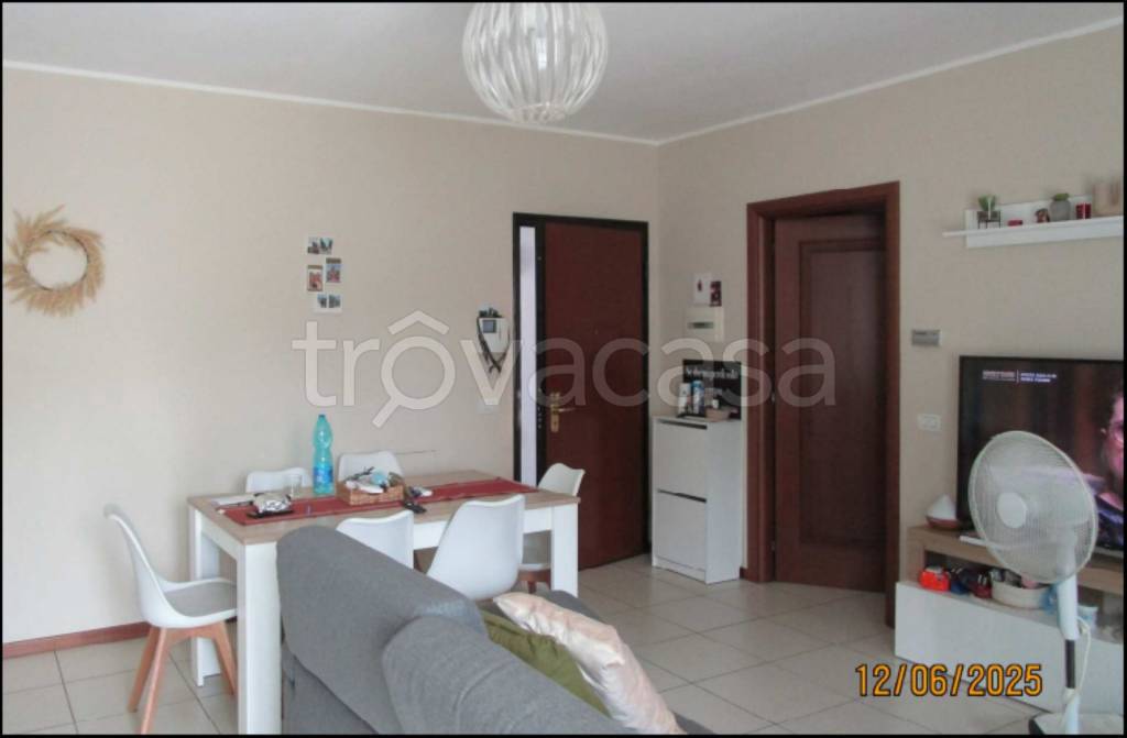 immagine annuncio 5 di 14