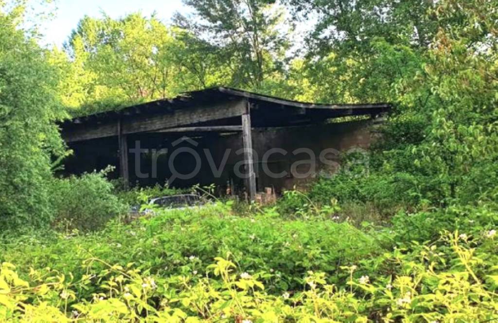 immagine annuncio 3 di 11