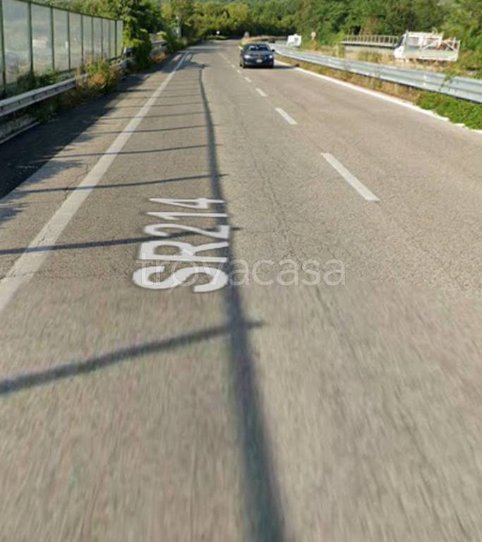immagine annuncio 5 di 12