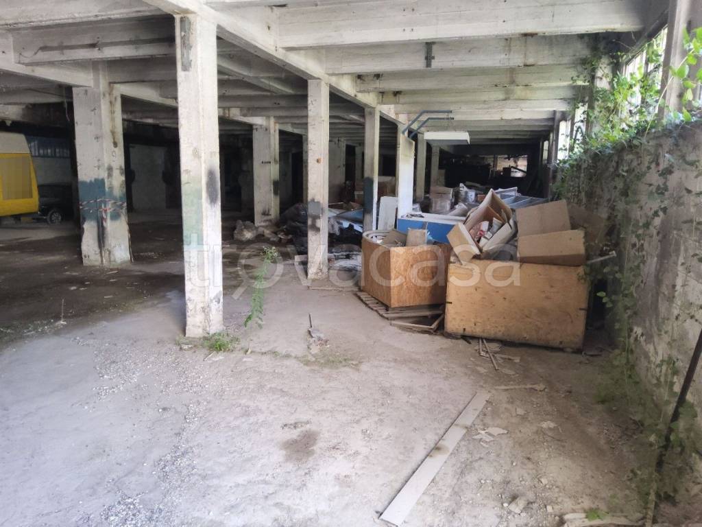 immagine annuncio 3 di 14