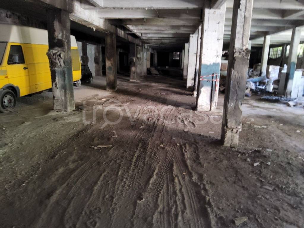 immagine annuncio 5 di 14