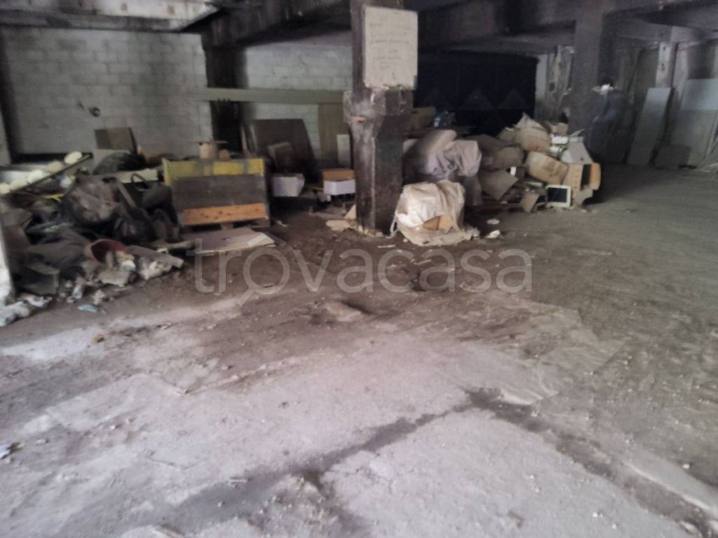 immagine annuncio 6 di 14