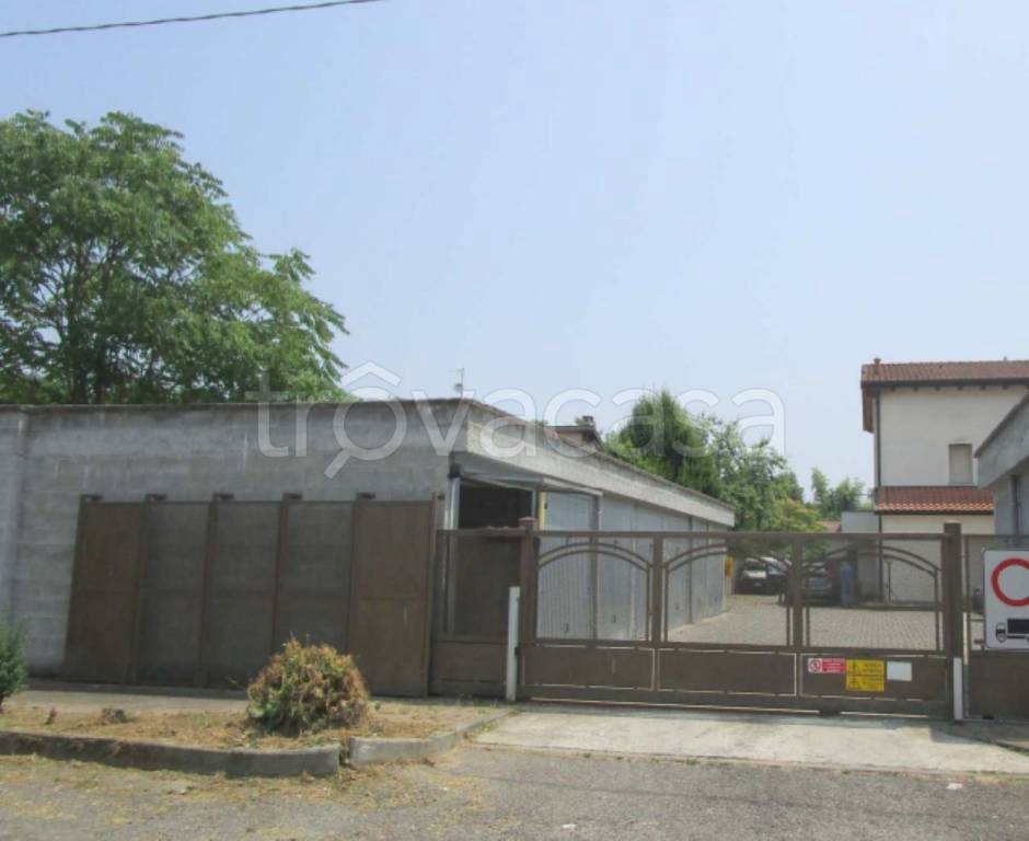 immagine annuncio 7 di 12