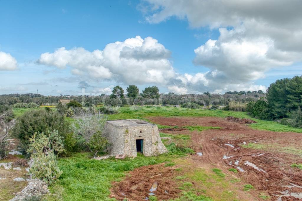 immagine annuncio 8 di 13