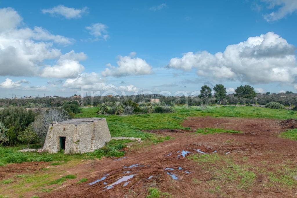 immagine annuncio 9 di 13