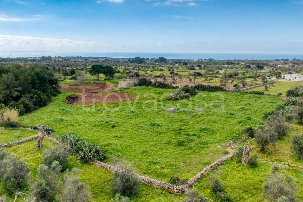 immagine annuncio 10 di 13