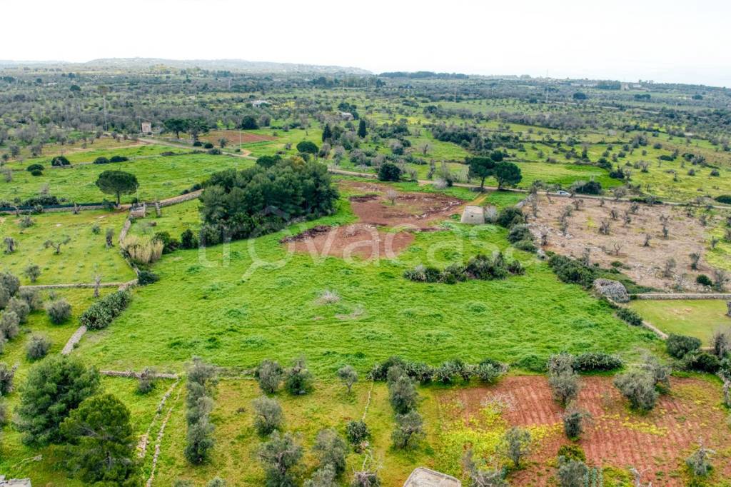 immagine annuncio 11 di 13