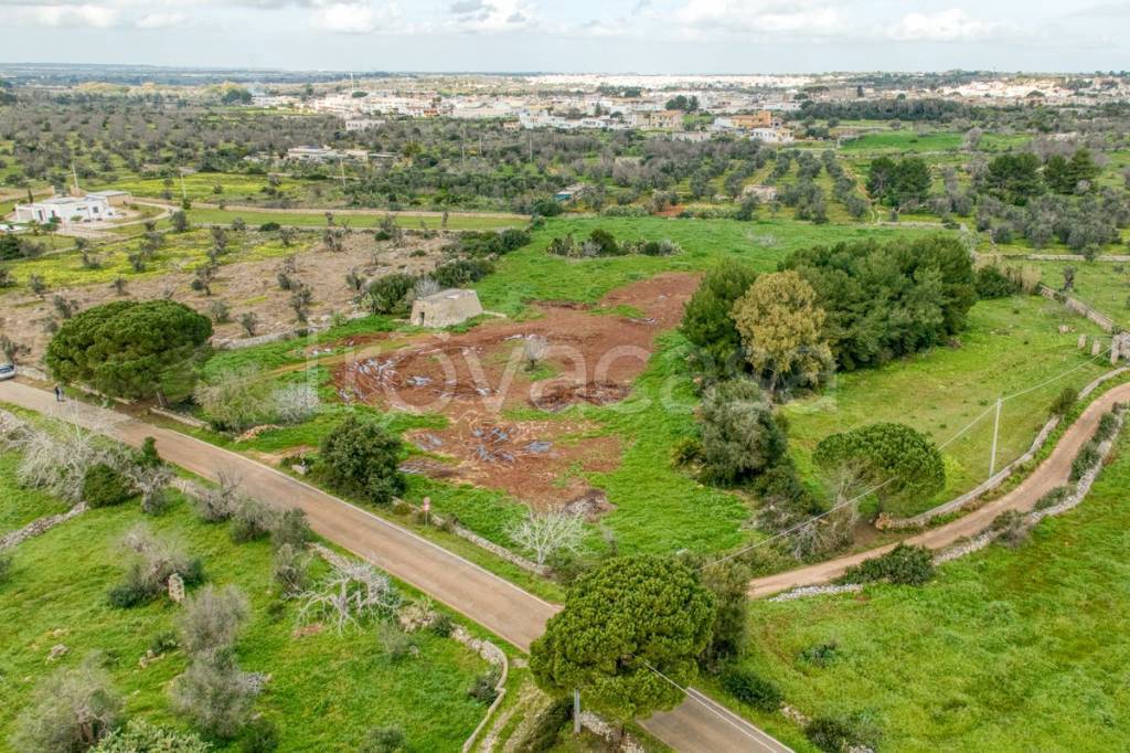 immagine annuncio 12 di 13