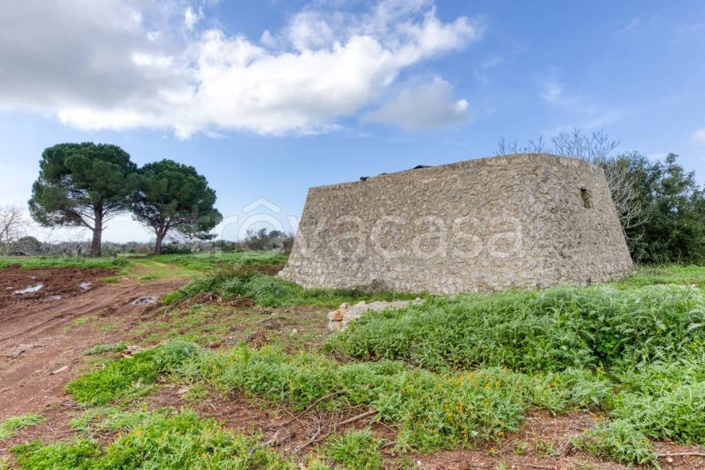 immagine annuncio 2 di 13