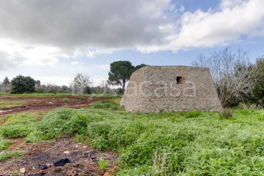 immagine annuncio 3 di 13