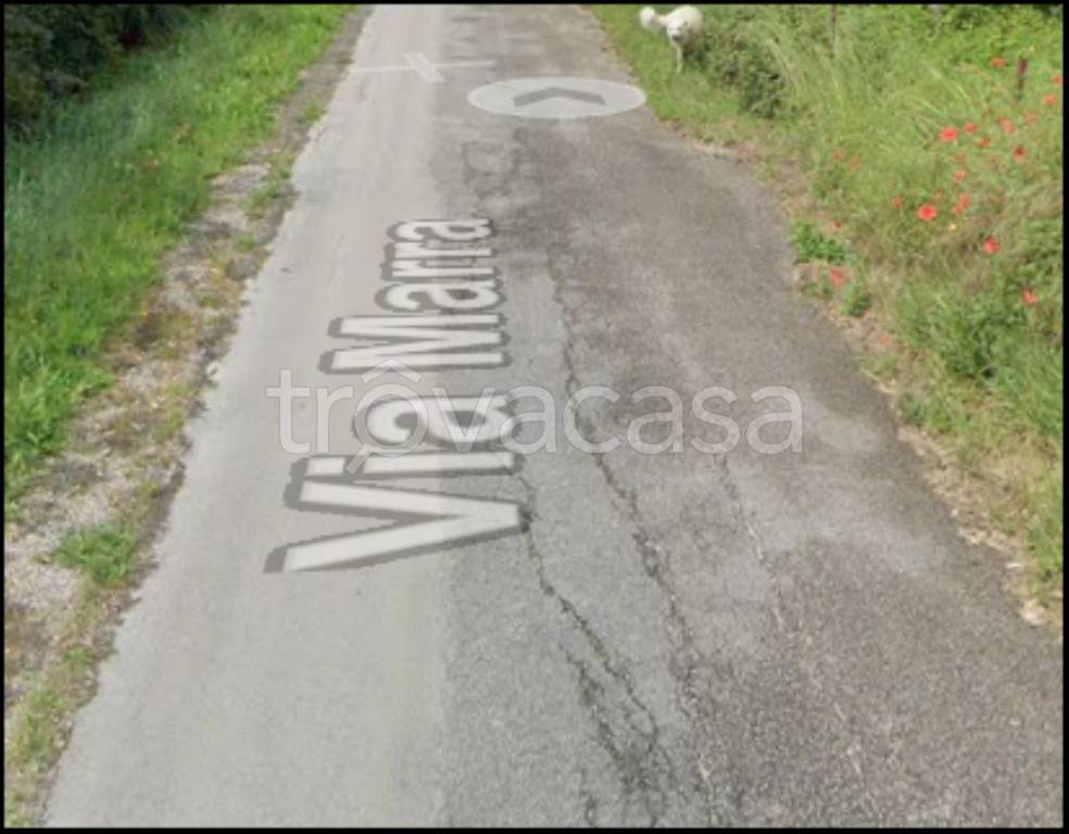 immagine annuncio 6 di 12