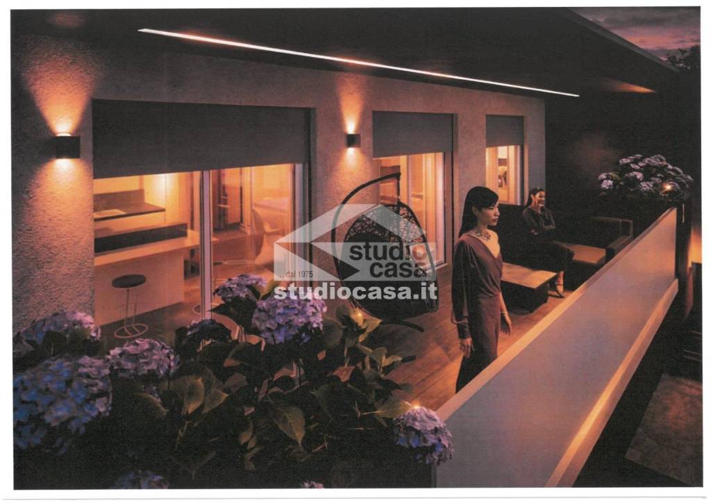 immagine annuncio 7 di 12