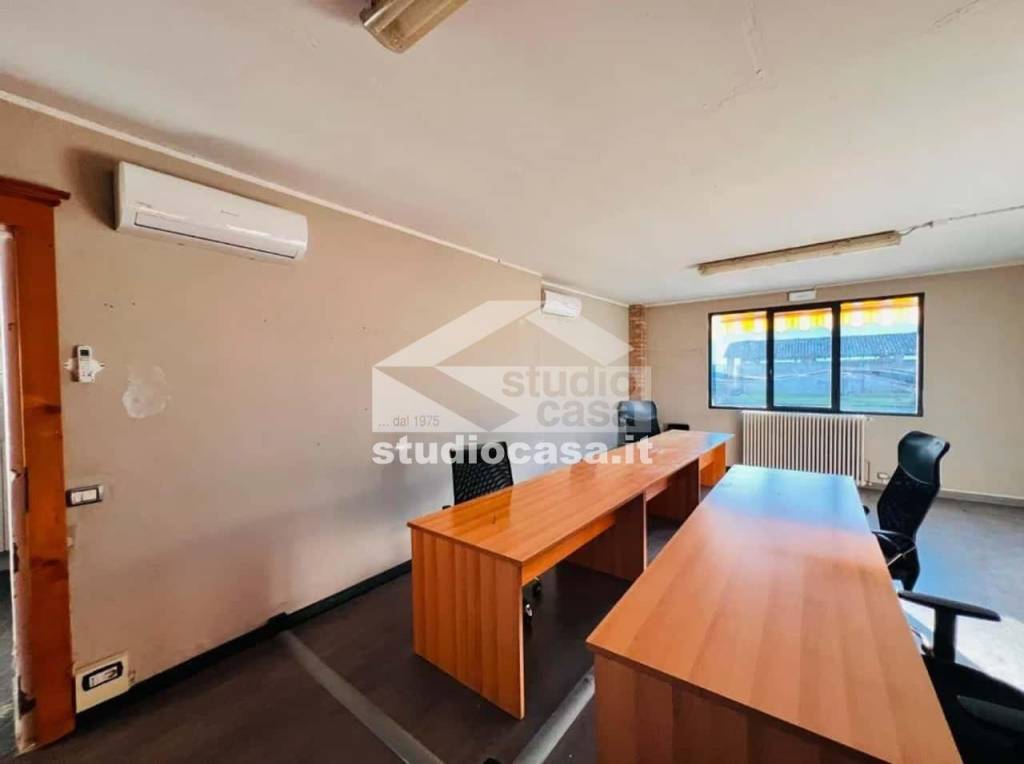 immagine annuncio 2 di 12