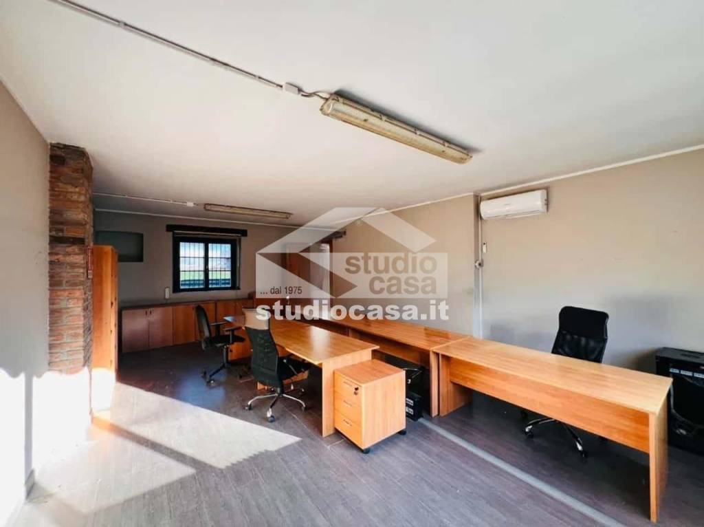 immagine annuncio 3 di 12