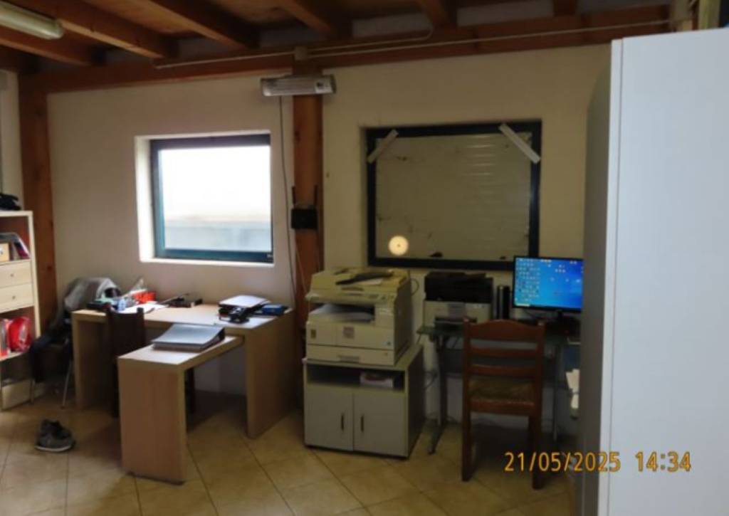 immagine annuncio 6 di 11