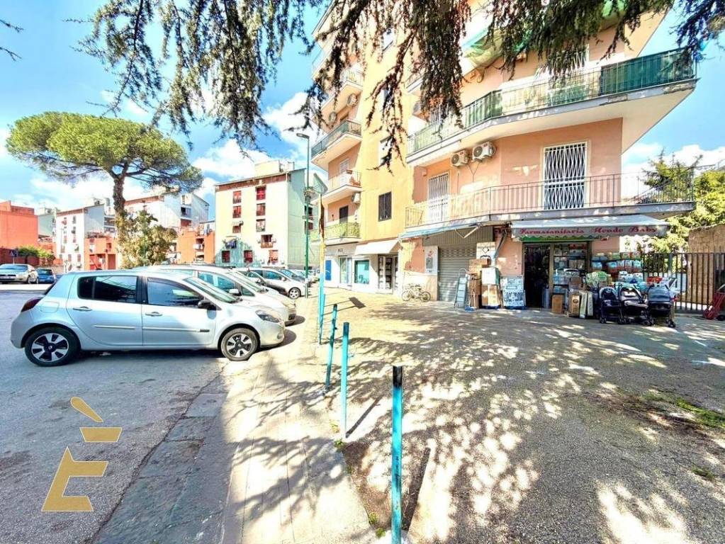 immagine annuncio 10 di 12