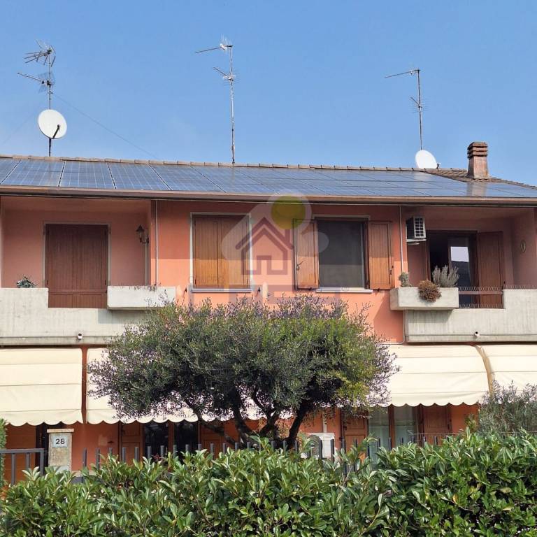 immagine annuncio 1 di 15