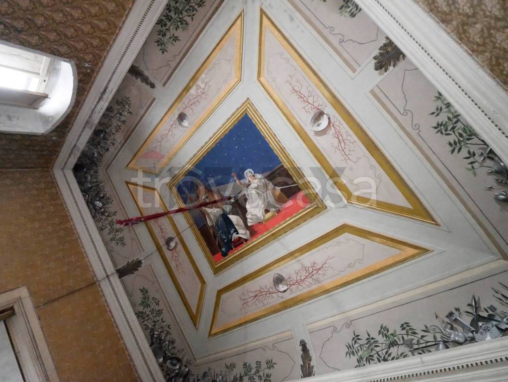 immagine annuncio 4 di 7