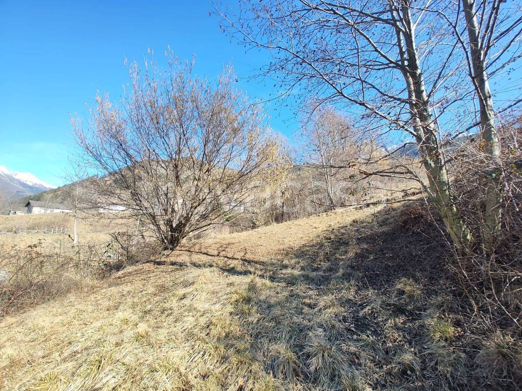 immagine annuncio 12 di 15