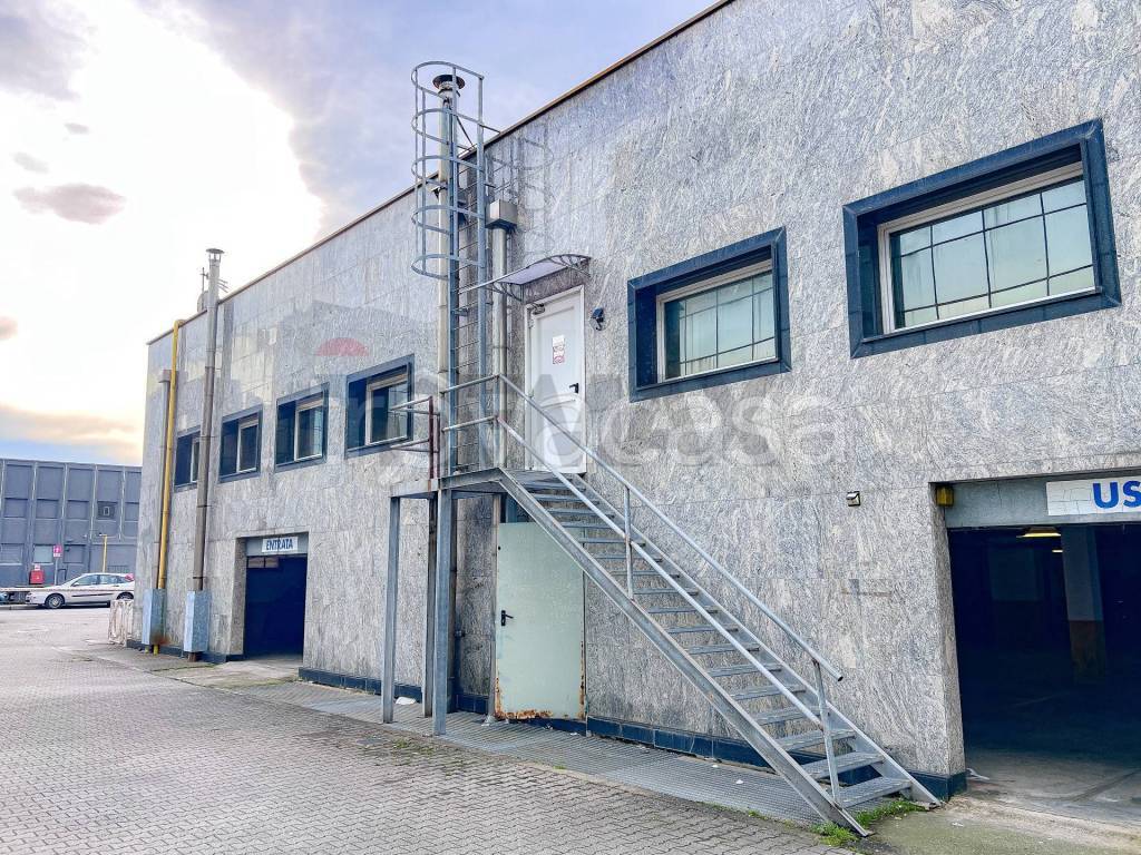 immagine annuncio 9 di 15