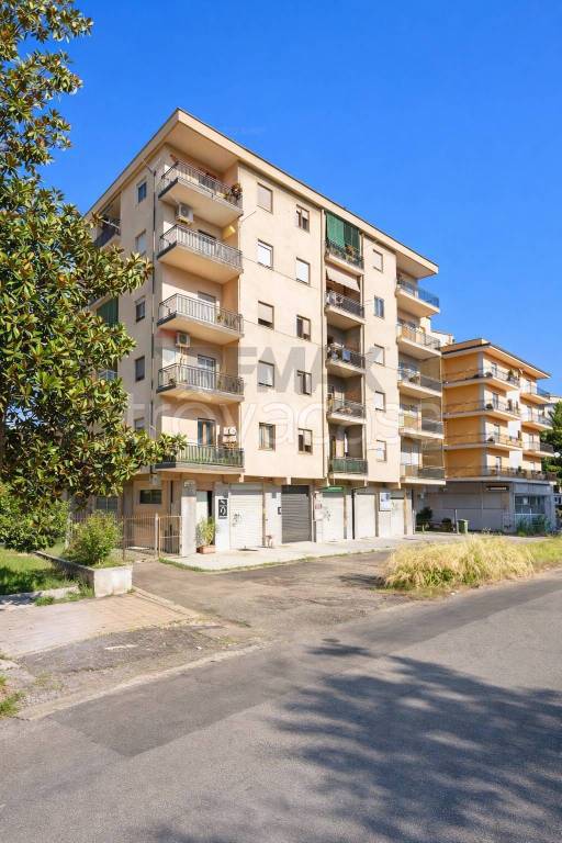 immagine annuncio 1 di 6