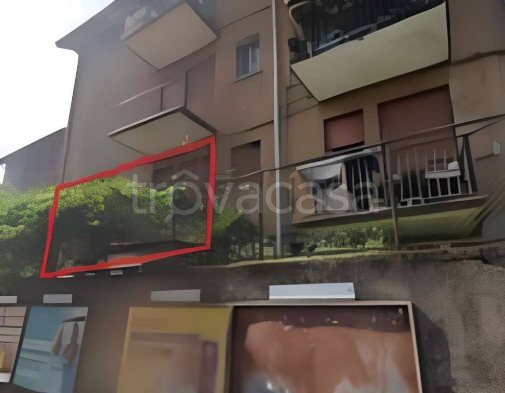 immagine annuncio 1 di 6