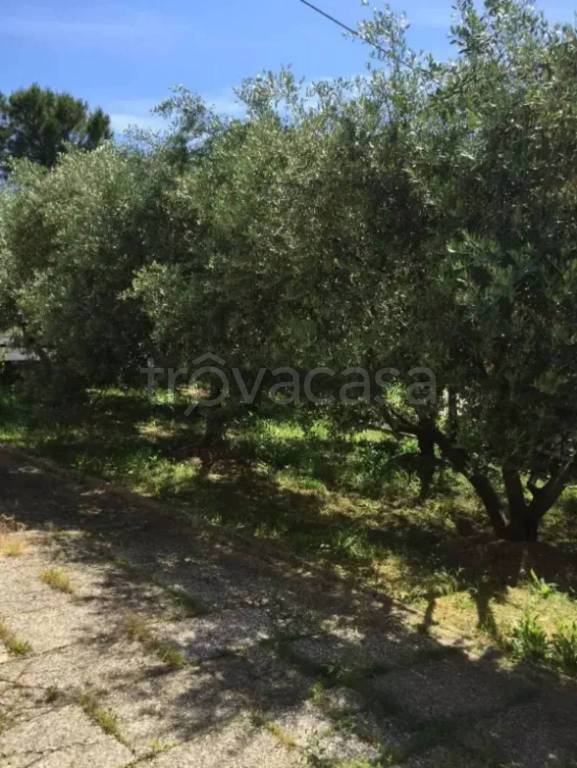 immagine annuncio 6 di 7