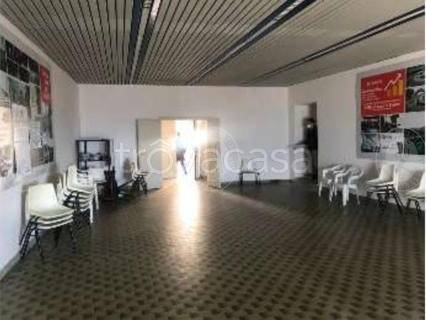 immagine annuncio 5 di 9