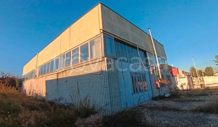 immagine annuncio 2 di 6