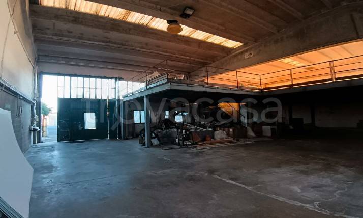 immagine annuncio 3 di 6