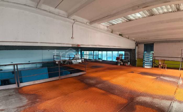 immagine annuncio 4 di 6