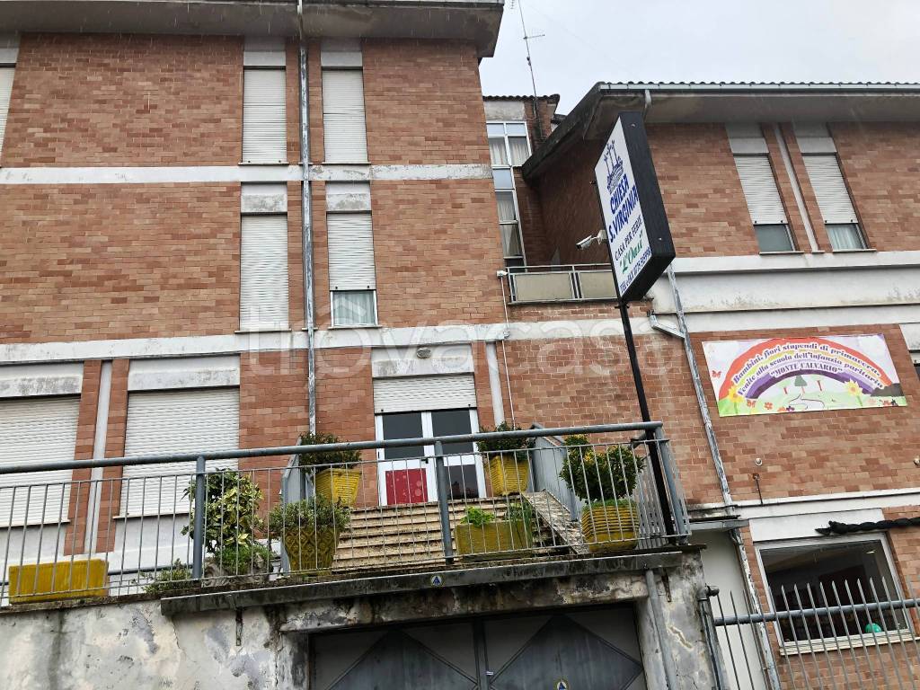 immagine annuncio 1 di 6