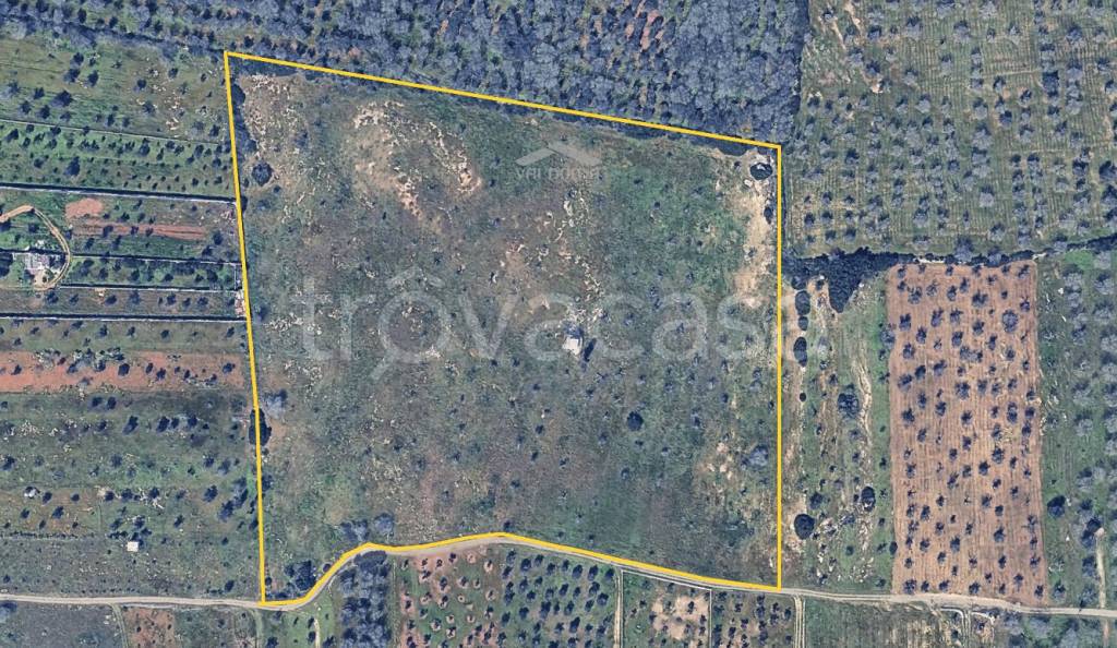 immagine annuncio 1 di 6