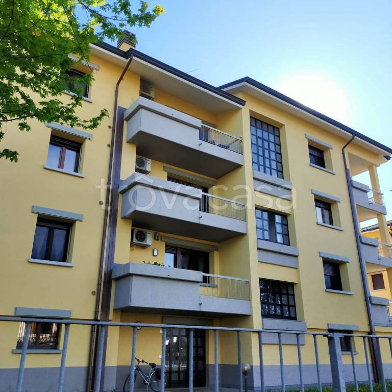 immagine annuncio 6 di 14