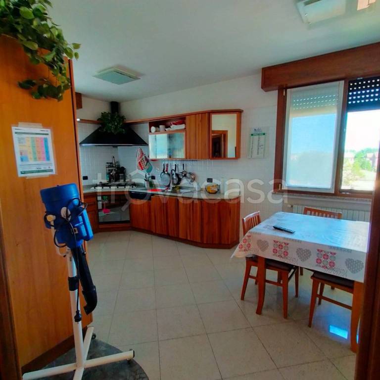 immagine annuncio 8 di 14