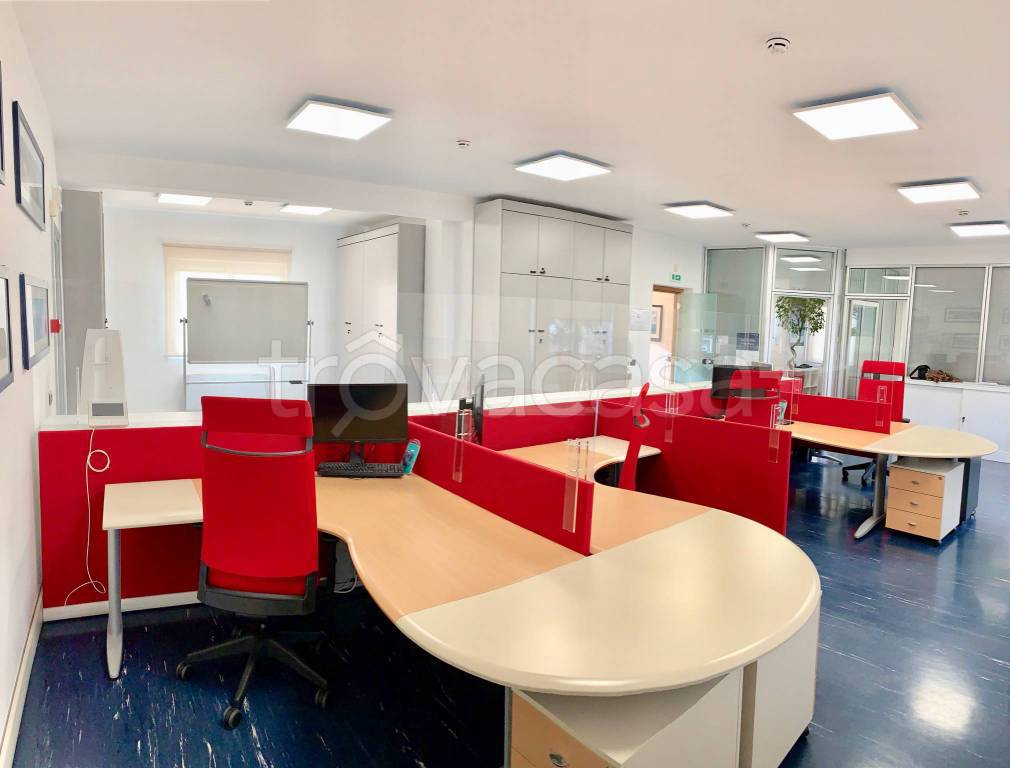 immagine annuncio 4 di 14