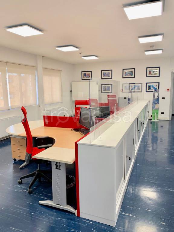 immagine annuncio 5 di 14