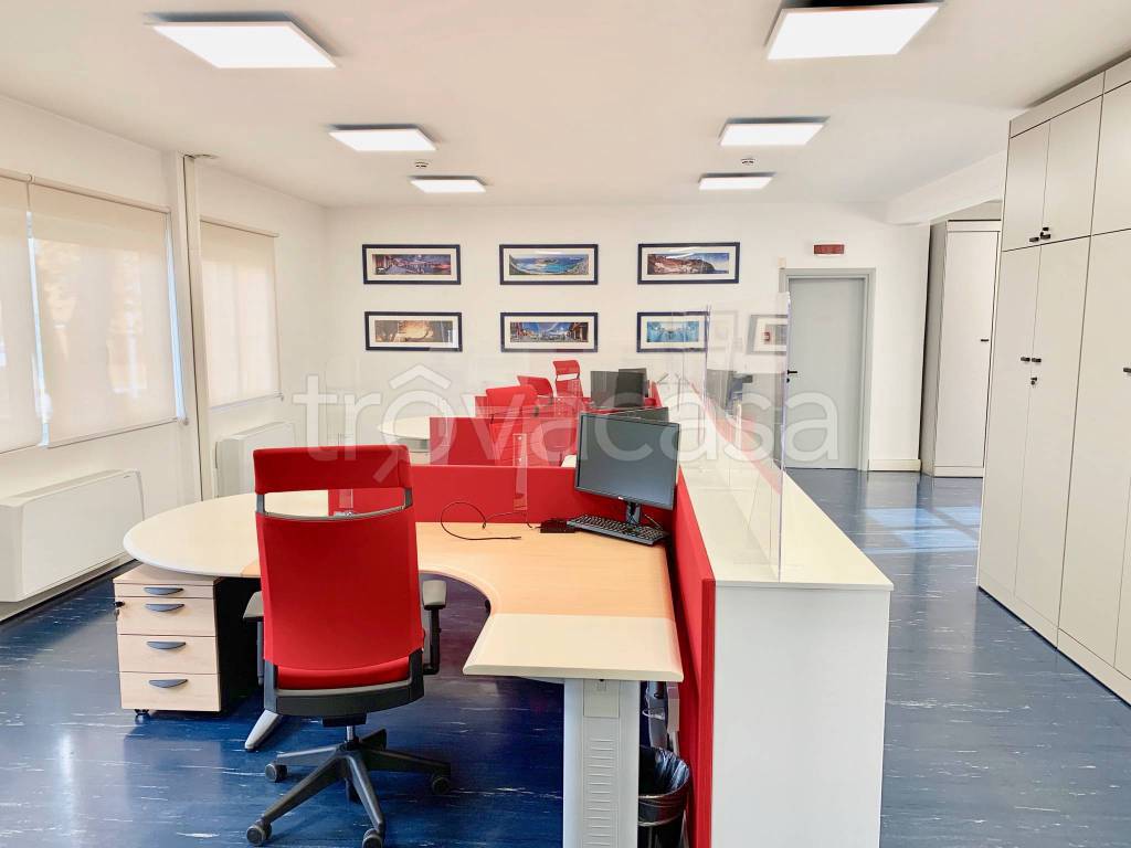 immagine annuncio 6 di 14