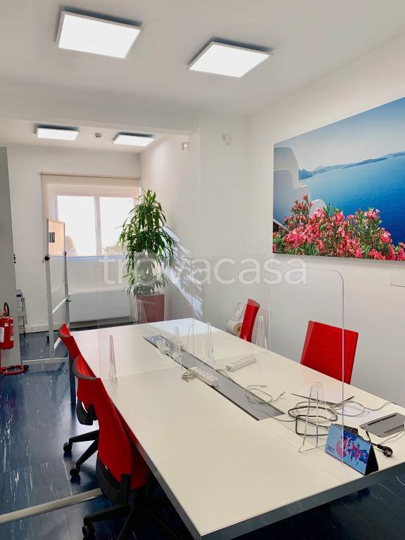 immagine annuncio 8 di 14