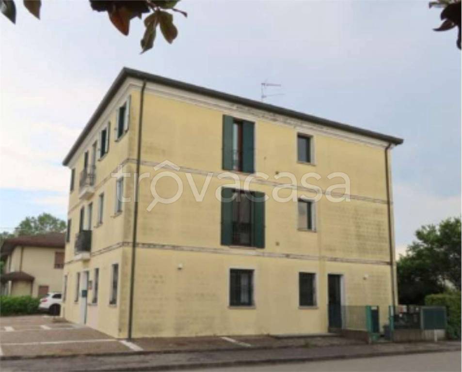 immagine annuncio 3 di 11