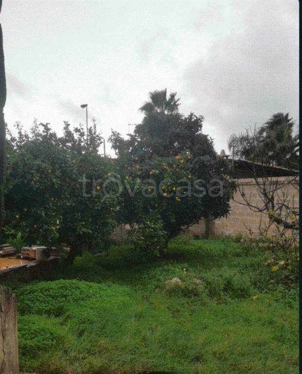 immagine annuncio 5 di 9